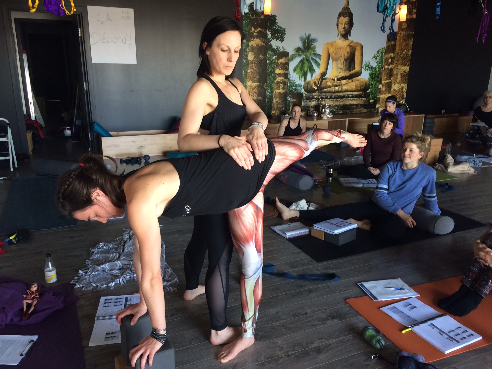 Master Classes, Yoga Tune Up Teacher training, level 1