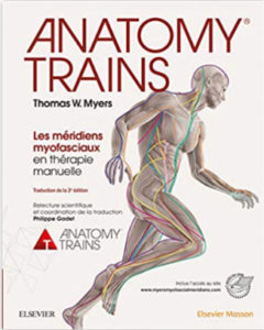 Anatomy Trains: les Méridiens Myofasciaux En Thérapie Manuelle
